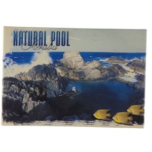 MAGNES NA LODÓWKĘ Natural Basen zw. Conchi na Arubie M14033