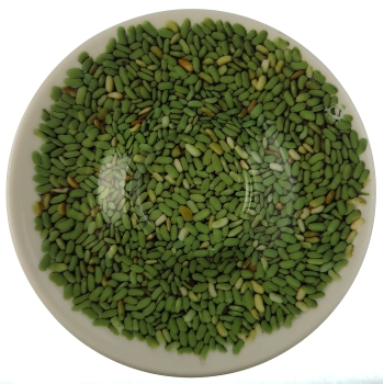 Talerzyk Espresso spodek z nadrukiem przypominającym pestki dyni TAL00028