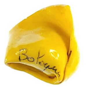 Magnes w kształcie tortelloni z napisem „Bologna”. M14876