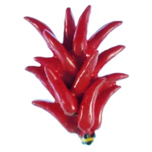 Magnes pęczka papryczek chili.  M14992